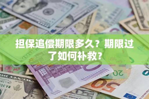 济南担保追偿期限多久？期限过了如何补救？